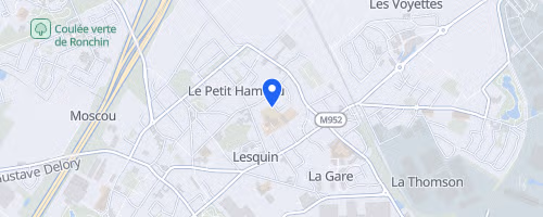 Foulées lesquinoises