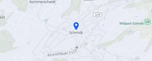 Lauf mal wieder mit in Schmidt