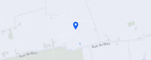 La Da Vinci Run - Foulées de la folie - Vieux-Berquin