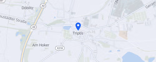Triptiser Stadtwaldlauf