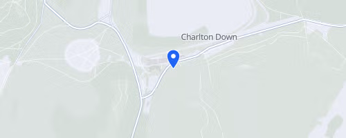 South Downs Trail Run