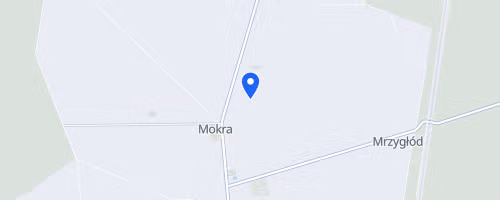 Bieg Pamięci Bitwy Pod Mokrą