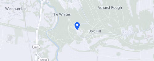 RunThrough Trails Beat Box Hill October