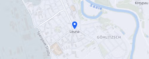 Leunaer Saaleanlagenlauf