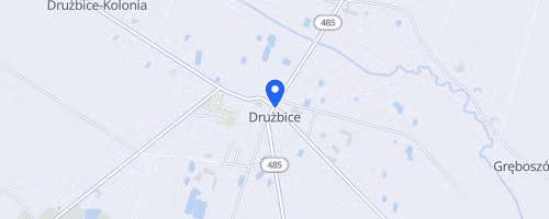Bieg Św. Dominika - Drużbice