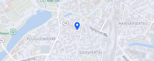 4. Team MAGENTA Lauf "Münster"