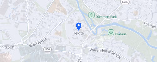 19. Volksbank-Citylauf Telgte