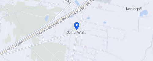 Poland Bike Road