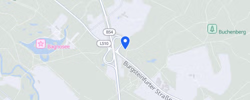 Steinfurter Nikolauslauf 10 km