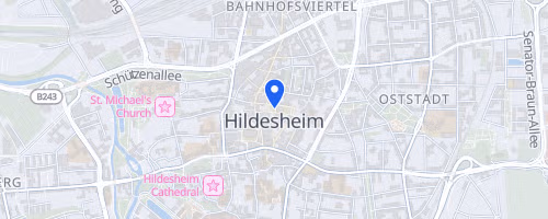 Hildesheimer Firmenlauf
