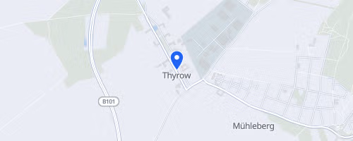 Thyrower Waldlauf