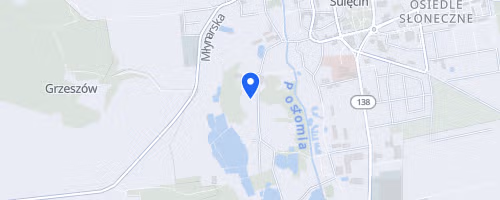 XXVI Memorial Stanislawa Ozoga X Mistrzostwa Sulecina w Biegu na 10 Km