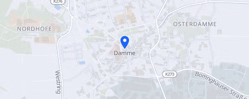 24. Dammer Stadtlauf