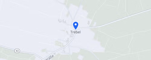 Lauf durch die Nemitzer Heide