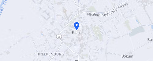 7. Esenser Volksbanklauf - 31. Stadtlauf