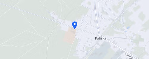 Bieg Niepodleglosci Kaliska