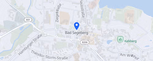 14. ews Volks- und Spendenlauf