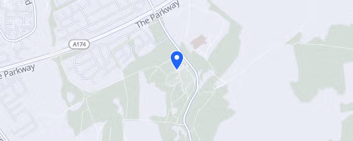 Pine Forest 5K Trail