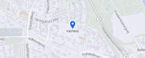 Hareskovens 4 årstider (3) Sommer 2026