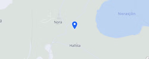 Blodomloppet Eskilstuna