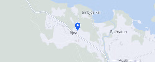 Bjoa Halvmaraton