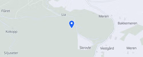 Lierløpet 9