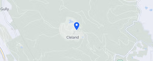 Cleland Trail Run