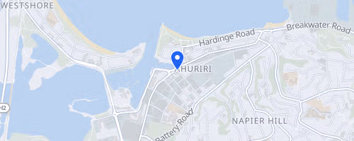 Ahuriri Half Marathon
