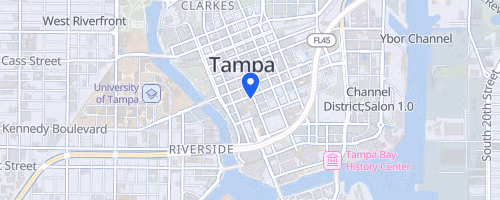 Tunnel to Towers Climb - Tampa, FL
