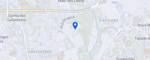 Maratona e Meia Maratona de Lisboa condicionam trânsito em Lisboa, Oeiras e Cascais no fim de semana