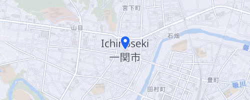 第45回一関国際ハーフマラソン 併催 第5回ハーフマラソンみちのく選手権