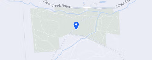 Salt Springs Field, Forest & Falls Trail Races