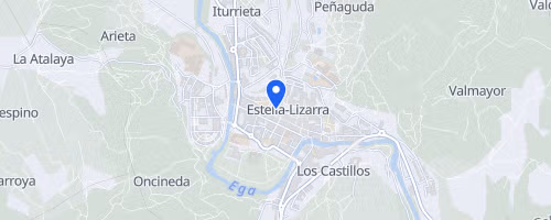 Carrera del Encierro Estella-Lizarra