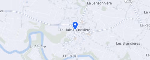 Courses et Marche des Vendangeurs à La Haie-Fouassière