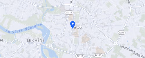 Les foulées de Vertou