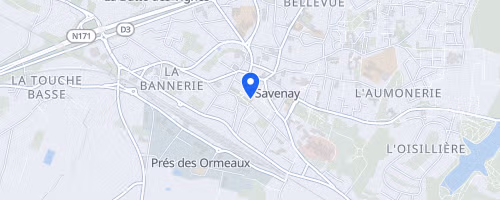 Les foulées du sillon de Bretagne - Savenay