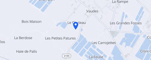 Les foulées de Vaudes