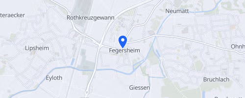 Foulées de Fegersheim