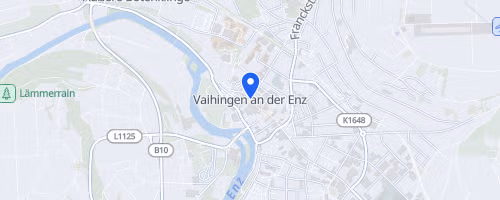 Inklusions-Stadt-Lauf der Lebenshilfe Vaihingen-Mühlacker e.V.