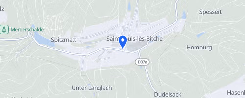 Foulées du cristal - Saint-Louis-lès-Bitche