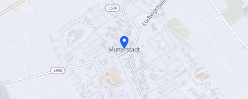 engelhorn Brooks Laufcup Mutterstadter Volkslauf