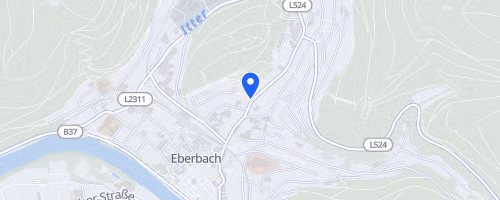 Eberbacher Sprint- und Jedermanntriathlon