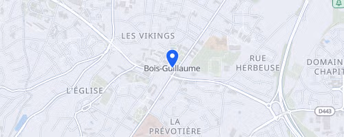 Semi-marathon et 10 km de Bois-Guillaume