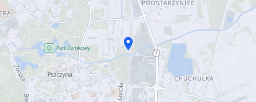 Carbo Asecura Bieg Pszczyński