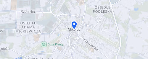 Mikolowski Bieg Uliczny im Henryka Biskupiaka