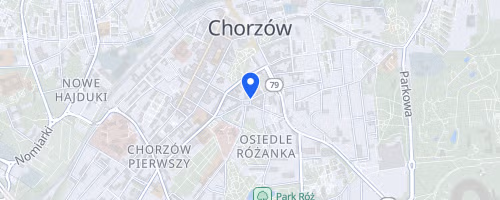 Silesia Marathon Chorzow