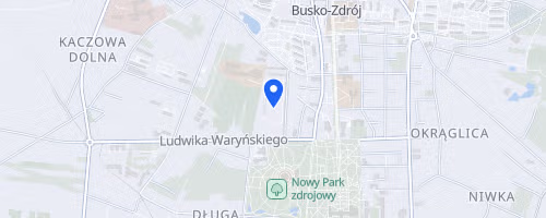 Półmaraton Buski