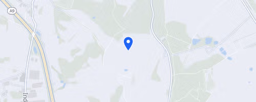 Schleizer Wisentalauf