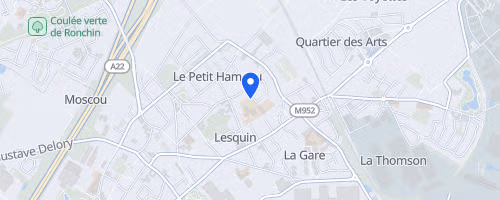 Foulées lesquinoises