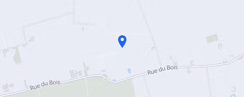 La Da Vinci Run - Foulées de la folie - Vieux-Berquin
